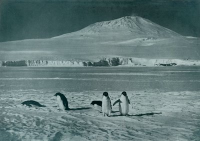 Mount Erebus, um 1911, 1913 von Herbert Ponting