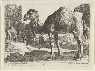 Kamele von Herman van Swanevelt