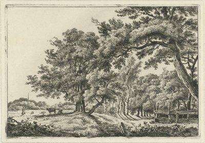 Landschaft mit zwei Kühen im Schatten von Hermanus Fock