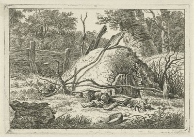 Ofen mit Schaufel von Hermanus Fock