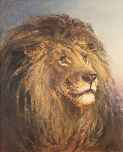 Ein Löwenkopf von Heywood Hardy