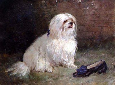 Ein Malteser Terrier von Heywood Hardy