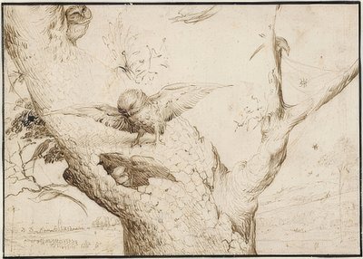 Eulennest, um 1505-10 von Hieronymus Bosch
