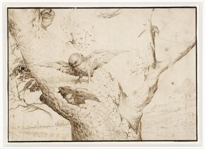 Das Eulennest von Hieronymus Bosch