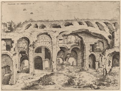 Vierte Ansicht des Kolosseums von Hieronymus Cock