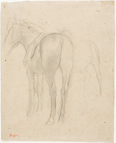 Studien eines Pferdes von Hilaire Germain Edgar Degas
