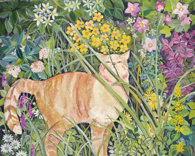 Katze und hohes Gras, 1996 von Hilary Jones