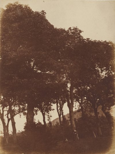 [Feld bei Bonaly] von Hill and Adamson