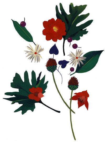 Eine Blume, die dich an Weihnachten denken lässt von Hiroyuki Izutsu