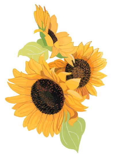 Sonnenblume von Hiroyuki Izutsu