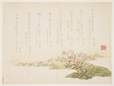 Veilchen, ca. 1848-53 von Ho Shu