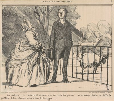 Ja, Madame ... diese Tiere ... von Honoré Daumier