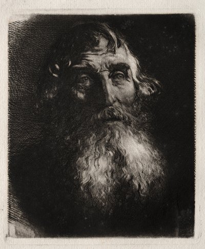 Studie eines alten Mannes Kopf von Hubert von Herkomer