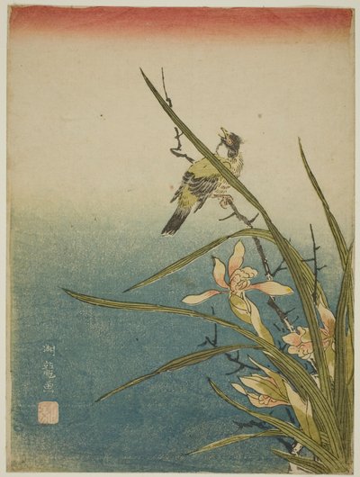 Orchidee und Vogel von Isoda Koryusai