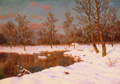 Ein Novemberabend von Ivan Fedorovich Choultse