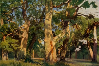 Eichenbäume am Abend, 1887, 1965 von Ivan Ivanovich Shishkin