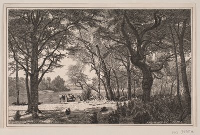 Jütländische Waldpartie von J. Hildebrand