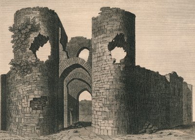 Ballyloghan Castle von J Newton