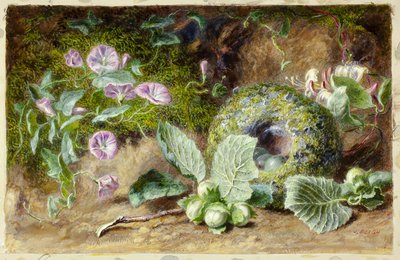 Winden und Nest von Jabez Bligh