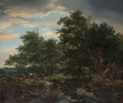 Waldszene von Jacob van Ruisdael