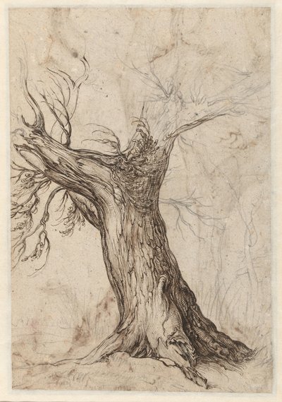 Kastanienbaum mit einigen Bäumen darum herum von Jacob de Gheyn (II)