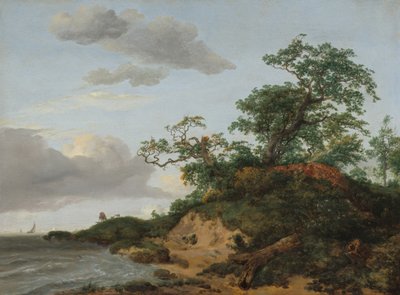 Dünen am Meer, 1648 von Jacob van Ruisdael