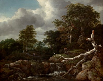 Waldszene, ca. 1655 von Jacob van Ruisdael