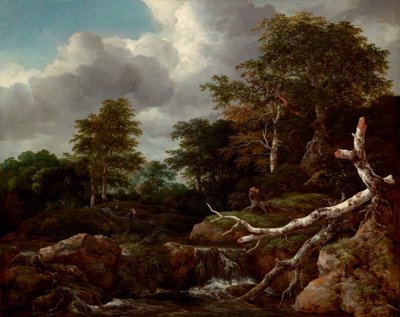 Waldszene von Jacob van Ruisdael