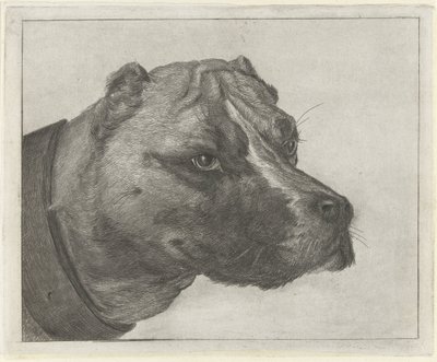 Hundekopf mit Halsband von Jacobus Cornelis Gaal