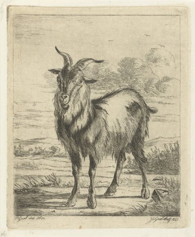 Stehende Ziege von Jacobus Cornelis Gaal