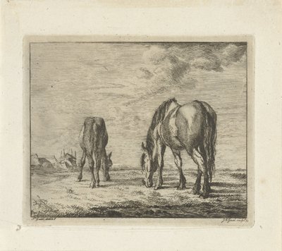 Zwei grasende Pferde von Jacobus Cornelis Gaal