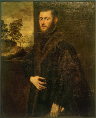Junger Edelmann von Jacopo Robusti Tintoretto