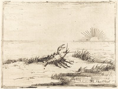 Krebs schaut in die Sonne von Jacques Callot