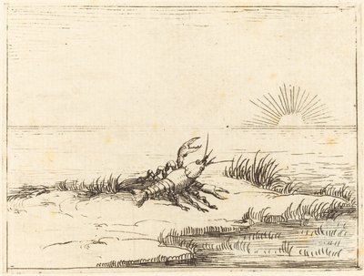 Krebs schaut in die Sonne von Jacques Callot