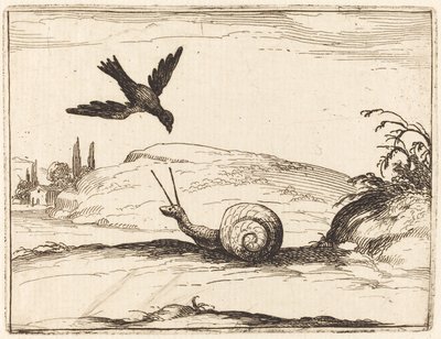 Krähe und Schnecke von Jacques Callot