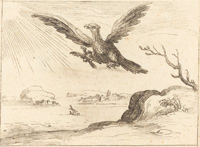 Adler und Junges von Jacques Callot