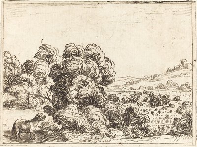 Schaf ruft Lamm von Jacques Callot