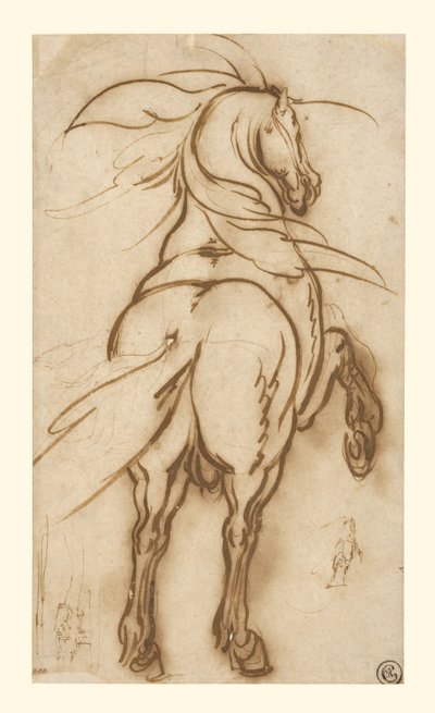 Studie eines sich aufbäumenden Pferdes von Jacques Callot