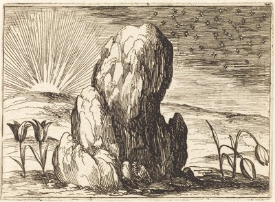 Die Tulpen und die Sonne, 1628 von Jacques Callot