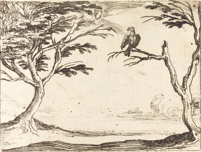 Der Geier von Jacques Callot