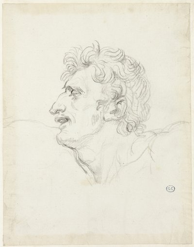 Kopf eines Mannes, linkes Profil von Jacques Louis David