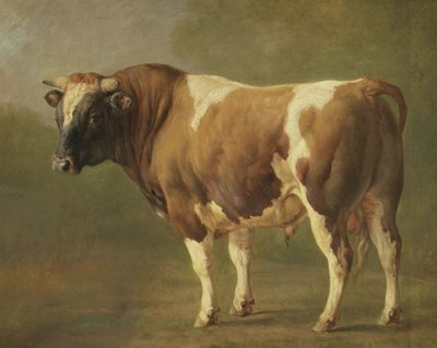 Studie eines Stiers von Jacques Raymond Brascassat