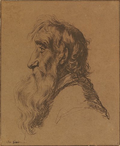 Kopf eines alten Mannes von Jacques de Gheyn III