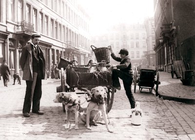 Junge mit Hundewagen, Antwerpen von James Batkin