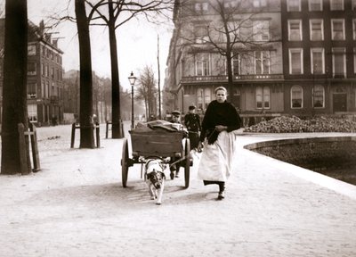 Frau mit Hundekarren, Rotterdam, 1898 von James Batkin