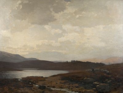 Dinnet Moor von James Cadenhead