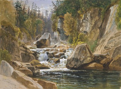 Am Ausable, 1869 von James David Smillie