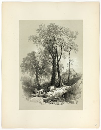 Shipley Bridge, Devon, aus Picturesque Selections von James Duffield Harding