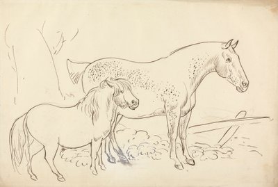 Pferd und Pony von James Howe