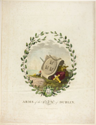 Dublin von James Malton